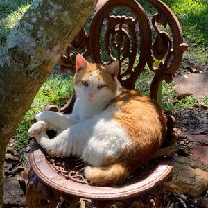 Meet your Posher, Glenda